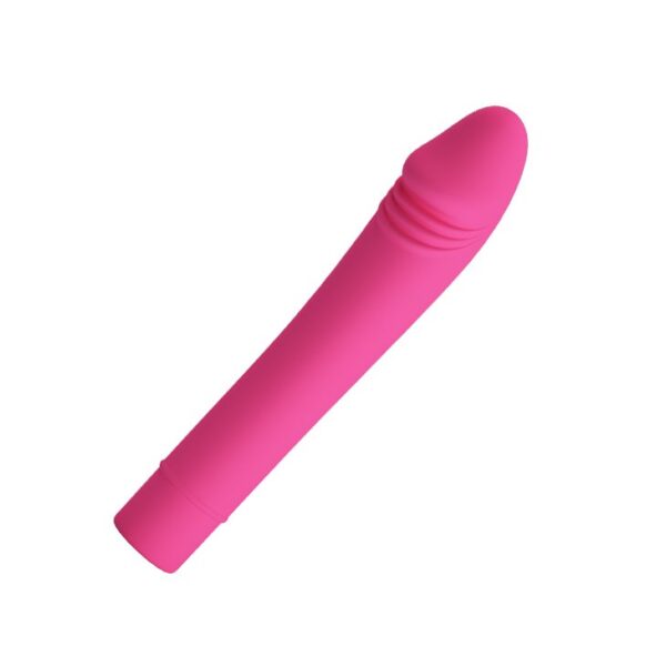 Baile Pretty Love Pixie Silicone 10 Function Vibe - Image 2