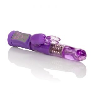 Calex Shane'S World Jack Rabbit G Purple